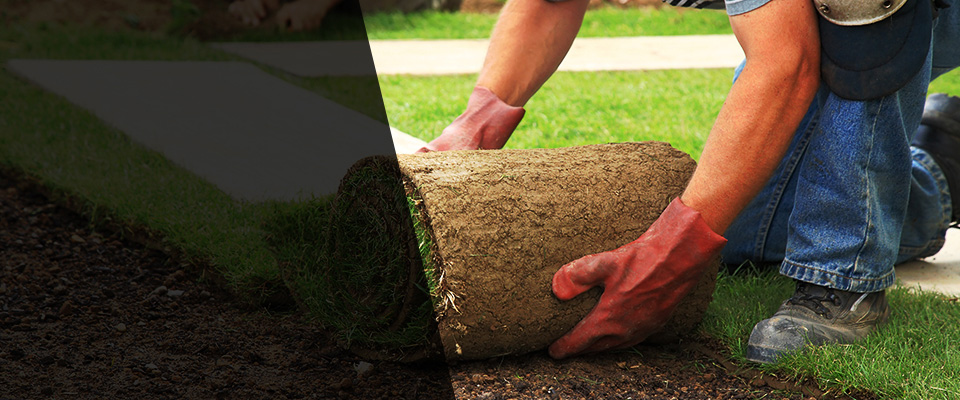 Ironwood Landscapers